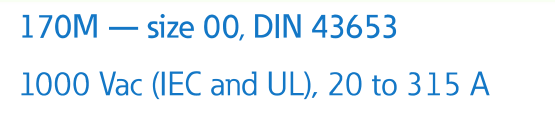 170M 1000V 20-315A 型号1.png